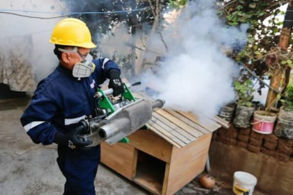 Minsa: casos de dengue disminuyen en 79.2 % en comparación con el 2024