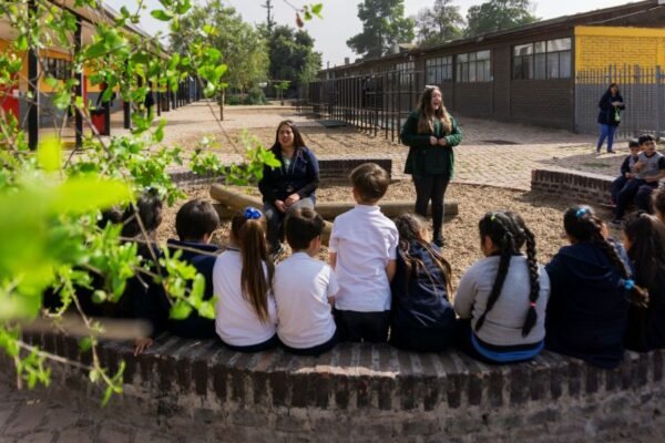ONG busca transformar patios escolares en verdaderos refugios climáticos