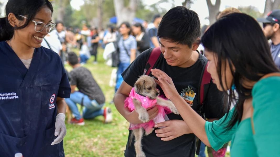 Personas con mascotas