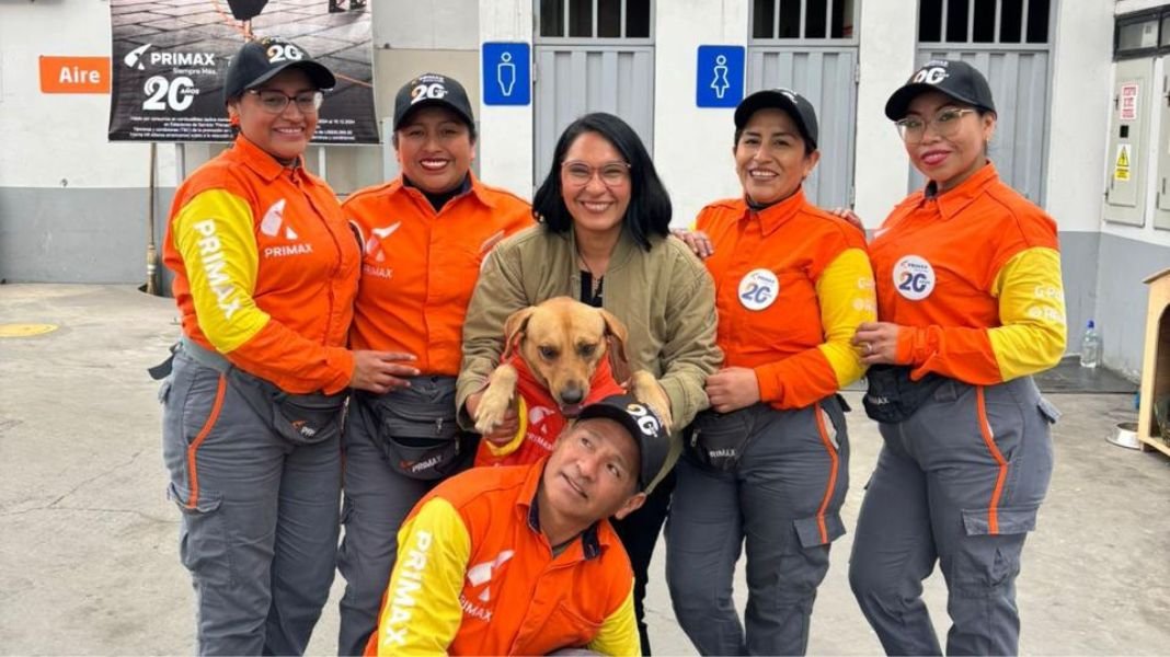 Una campaña con corazón: Primax y WUF se unen para dar una segunda oportunidad a las mascotas sin hogar