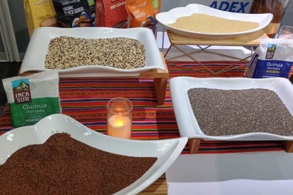 Granos andinos en el exterior superaron los US$ 52 millones 587 mil a abril
