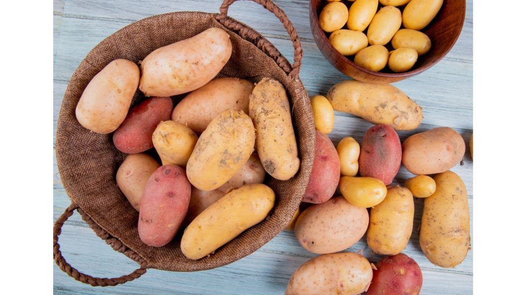 Día del Campesino: tubérculos, el legado nutricional de los agricultores