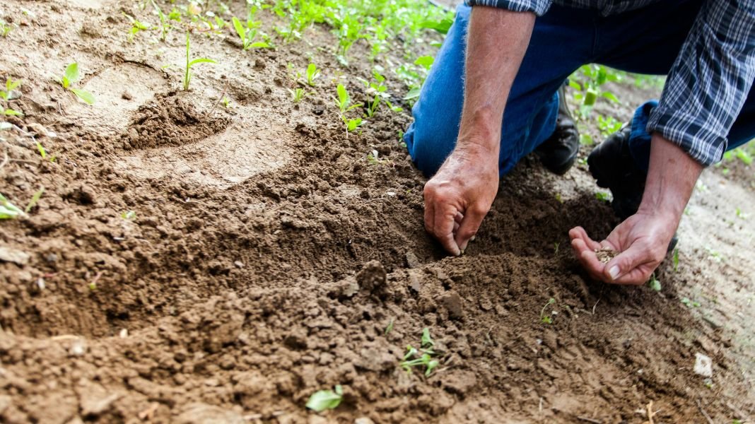Cemento Yura impulsa programa que beneficia a más de 260 agricultores en Yura Tradicional