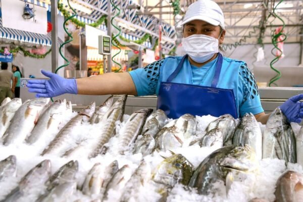 Sanipes capacita a 100 conserveros en Chimbote para fortalecer inocuidad alimentaria
