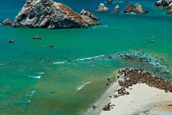 Reserva Nacional de Paracas