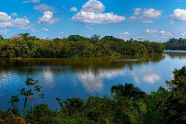 Descubre la Amazonía peruana: LG premia a sus clientes con un viaje a Puerto Maldonado