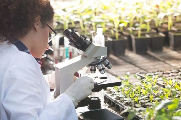Las tecnologías agrícolas digitales crecen tres veces más rápido que la media ante el reto cada vez mayor de la seguridad alimentaria mundial
