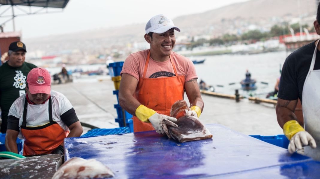 PRODUCE lanza créditos extraordinarios por hasta S/117 700 para pescadores artesanales de pota y perico con 1% y 2% de interés anual