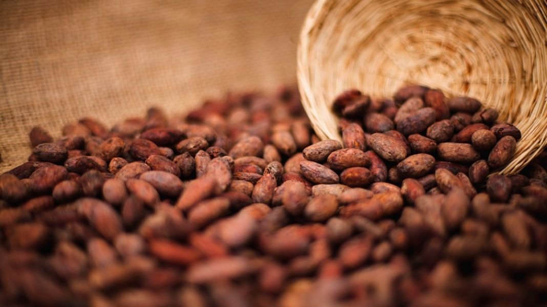 ADEX: exportaciones peruanas crecerían 16.5% al cierre del 2025