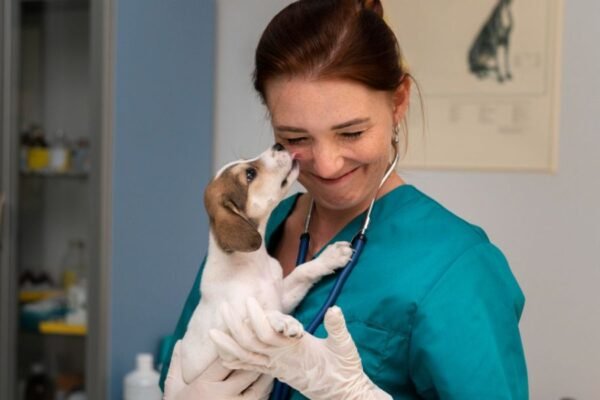 Conoce las enfermedades que pueden ser transmitidas por nuestras mascotas