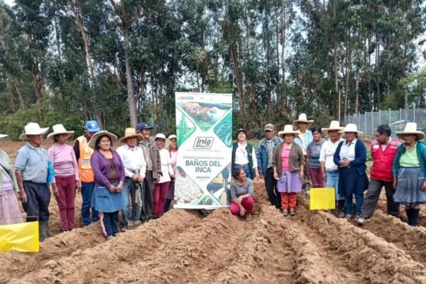 Tambos Productivos, la iniciativa con la que salen adelante más de 4700 personas en centros poblados de Cajamarca
