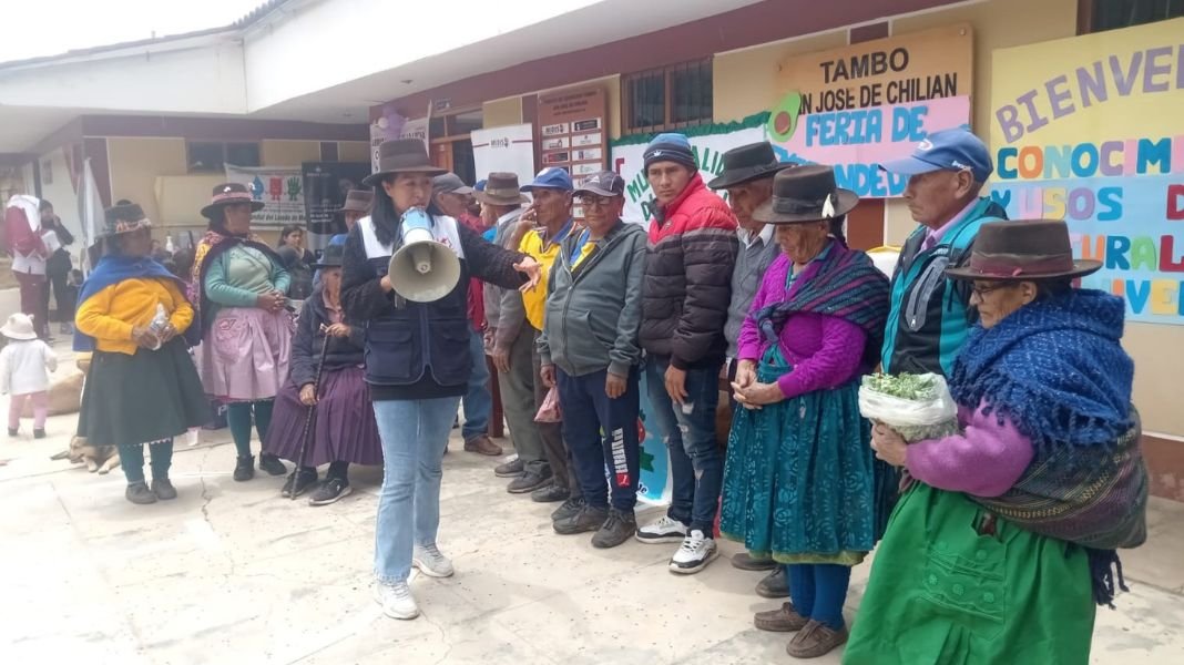 Más de 1680 centros poblados en Huánuco acceden a servicios del Estado a través de los Tambos del Midis