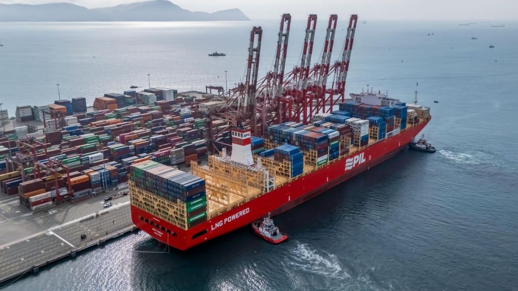 DP World moviliza el 60% de las exportaciones de palta del Perú a través del Puerto del Callao