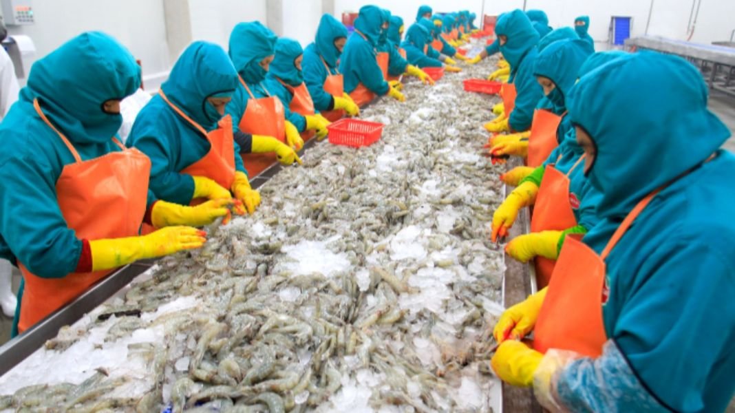 PRODUCE: PBI pesquero extractivo creció 6.4 % en setiembre de 2025