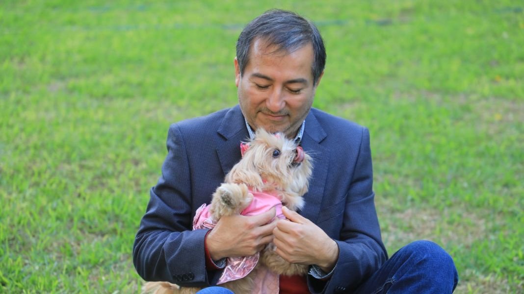 Minsa: ¿Cómo enfrentar el duelo por la pérdida de una mascota?