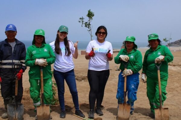 80 árboles fueron plantados por voluntarios de BanBif en beneficio del distrito de Punta Negra