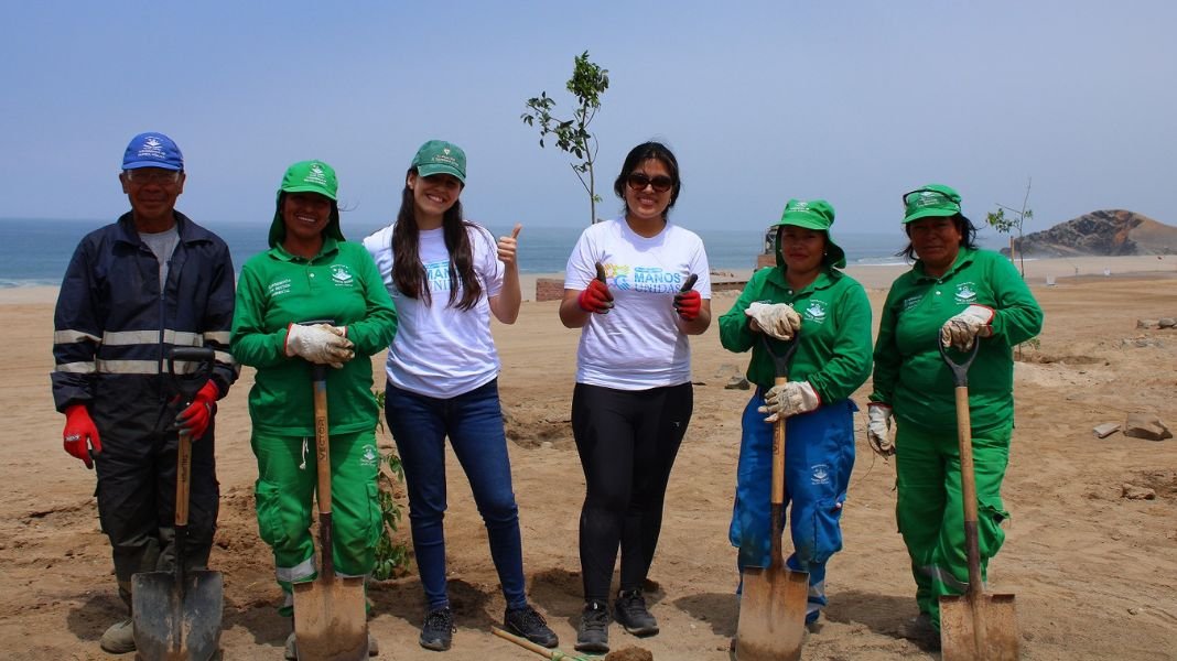80 árboles fueron plantados por voluntarios de BanBif en beneficio del distrito de Punta Negra