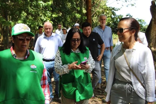 Presidenta de Redeia impulsa la segunda fase del Proyecto "Semilla de Vida Reforestadoras" en San Martín