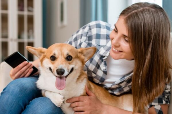 5 señales para detectar la diabetes canina en el Día Mundial de la Diabetes