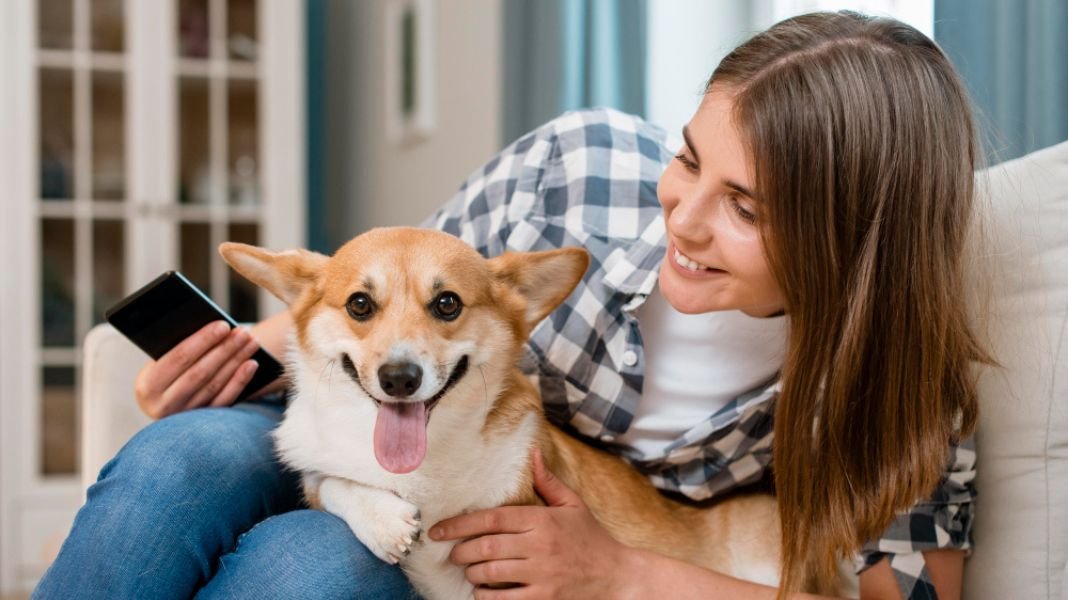5 señales para detectar la diabetes canina en el Día Mundial de la Diabetes