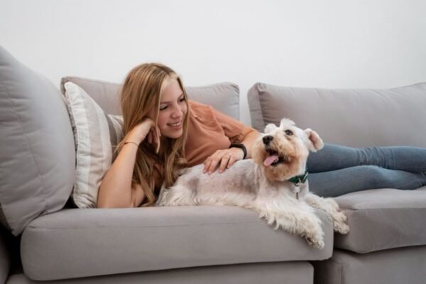 Cachorro en casa: 5 recomendaciones para un comienzo feliz y saludable