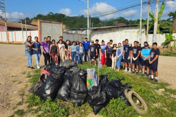 San Martín: más de 400 brigadas eliminaron 15 toneladas de criaderos del zancudo transmisor del dengue