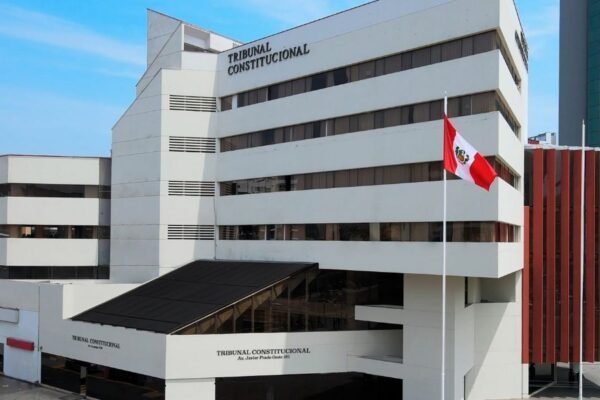 TC: es inconstitucional prohibir desproporcionadamente la libertad de contratar con el Estado