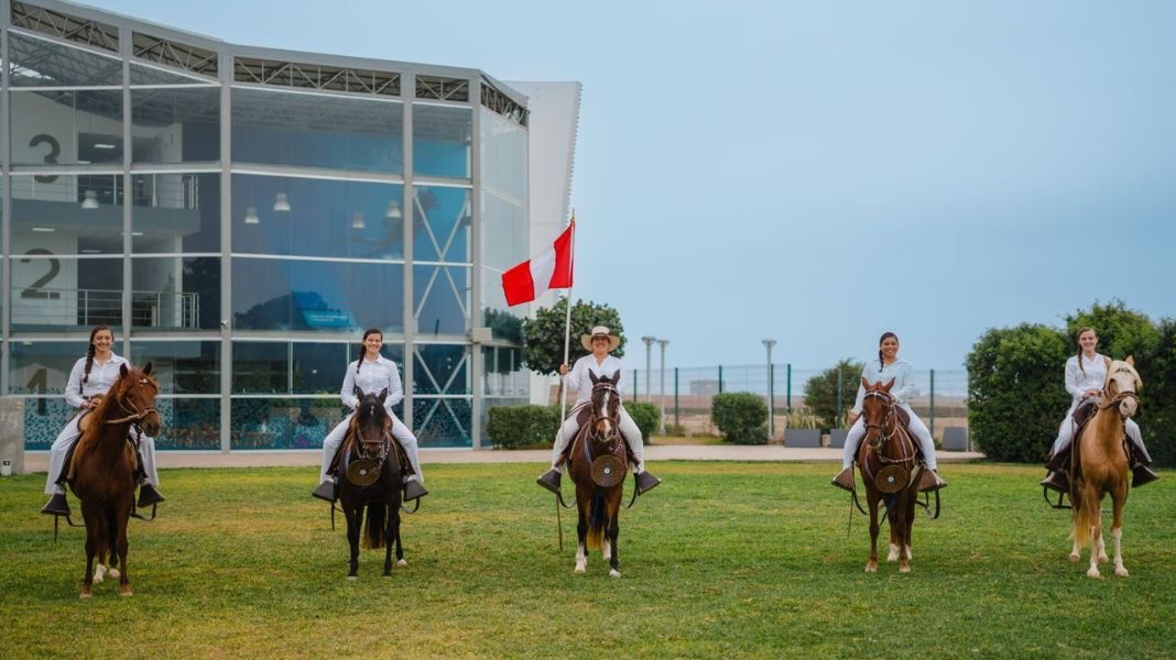 Investigación peruana revela que el distintivo andar del Caballo Peruano de Paso es hereditaria