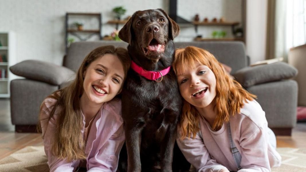 Cuidado con las zoonosis en fiestas navideñas: Mascotas que duermen con sus dueños en época de cohetes