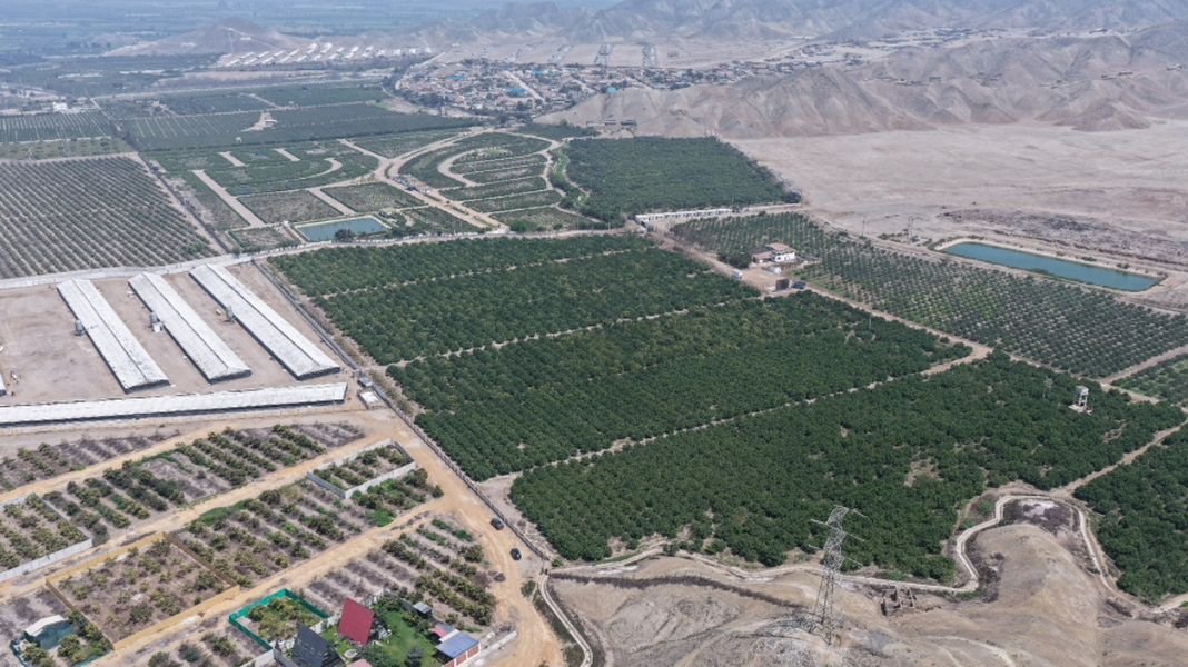 Eficaxx Grupo Inmobiliario entra al norte chico con inversión millonaria en Huaral