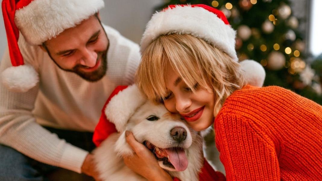 5 consejos para que tu mascota disfrute las fiestas sin miedo a los cohetes ni riesgos en la mesa