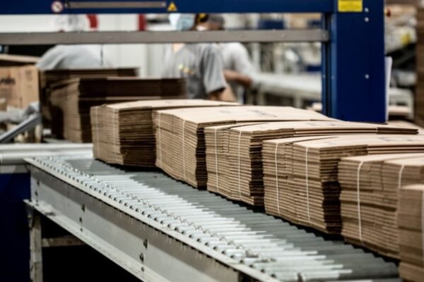 TRUPAL cierra 2025 con un 10% de crecimiento en ventas y récords históricos de producción, consolidando su rol clave en la agroexportación