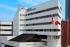 Sala Segunda del Tribunal Constitucional verá 52 causas en audiencia pública el miércoles 18 de febrero