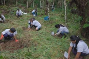 Reforestan 1,000 árboles nativos para recuperar ecosistemas degradados en Oxapampa