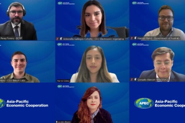 PRODUCE y APEC publican investigación sobre esquemas de apoyo financiero para las PYME en tiempos de crisis