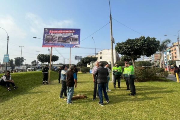 Áreas verdes en peligro: vecinos en contra de proyecto que beneficiaría a centro comercial