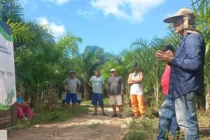 San Martín: Desarrollo de cadenas productivas impulsada por la empresa Caynarachi S.A. incorpora a más de 1000 pobladores y beneficia a más de 50 comunidades