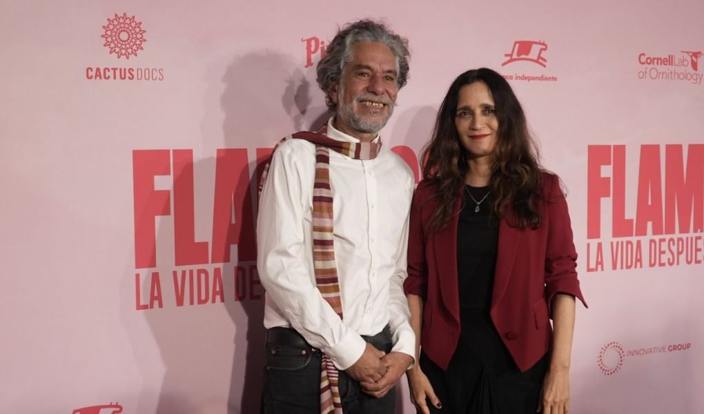 Julieta Venegas y Lorenzo Hagerman celebran la premiere con alfombra rosa de “Flamingos: la vida después del meteorito”