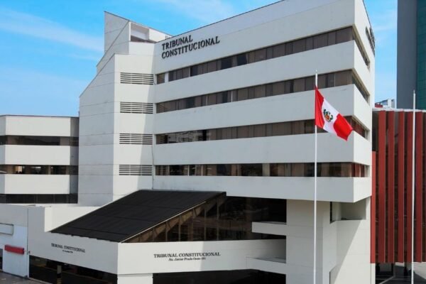 Tribunal Constitucional ordena a EsSalud reponer a locadora de servicios despedida por estar embarazada