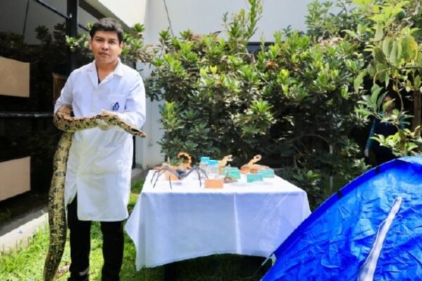 Minsa brinda recomendaciones para evitar mordedura de arañas y otros animales ponzoñosos durante campamentos por Semana Santa