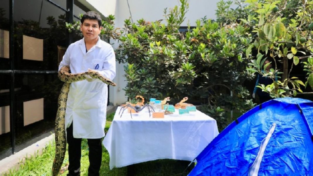 Minsa brinda recomendaciones para evitar mordedura de arañas y otros animales ponzoñosos durante campamentos por Semana Santa