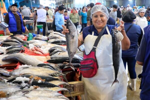 Semana Santa 2026: Consumo de pescado fresco superará las 7900 toneladas en el país