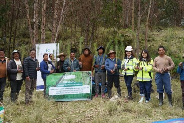 Grupo Distriluz consolida su liderazgo en sostenibilidad a través de distintos reconocimientos obtenido en el 2025