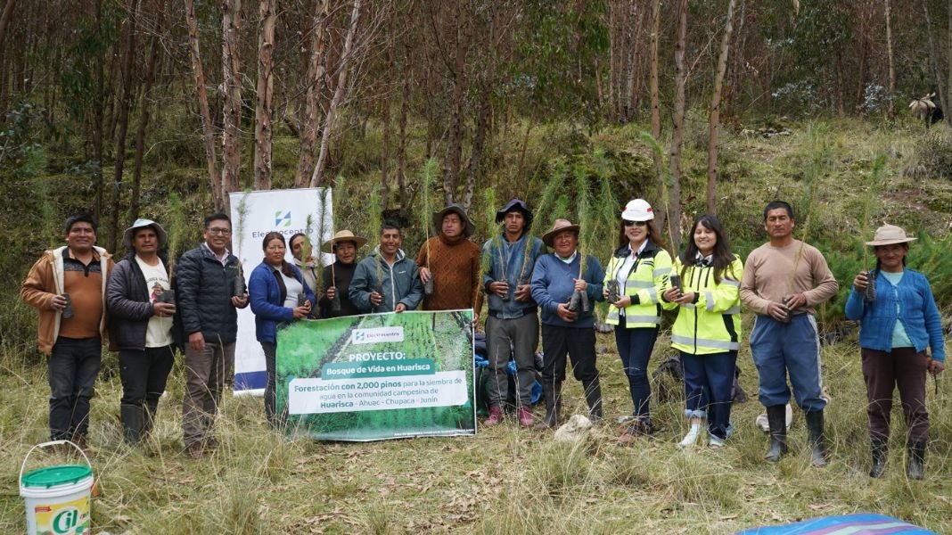 Grupo Distriluz consolida su liderazgo en sostenibilidad a través de distintos reconocimientos obtenido en el 2025