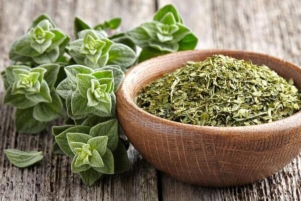 Perú es el segundo exportador de hierbas y especias en América Latina