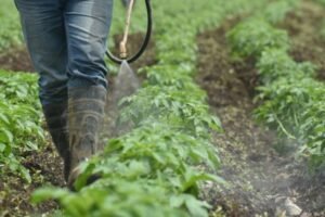 Cancelación de plaguicidas pondría en riesgo trabajo de casi 5 millones de agricultores en el país