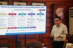 Minsa impulsa avances importantes en proceso de adhesión del Perú a la OCDE en el sector Salud
