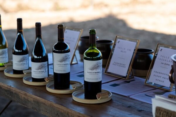 De Gran Reserva a Handcrafted: Casas del Bosque encuentra su propio lenguaje