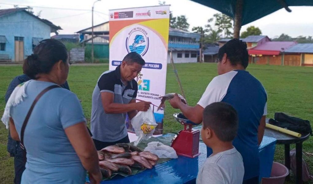 Loreto: más de 300 familias nativas transforman su economía con impulso productivo del Midis a través de Foncodes