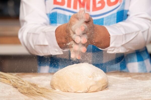 Grupo Bimbo alcanza nutrición positiva en el 98% de su portafolio de consumo diario